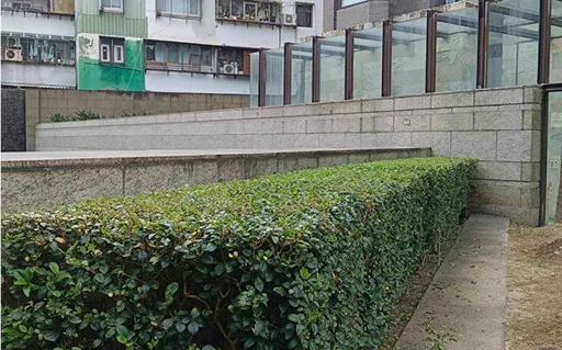 菖曜園藝客製化景觀設計實例