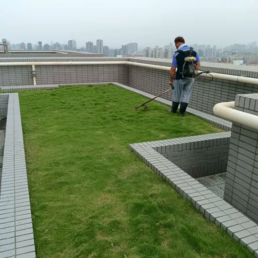 菖曜園藝專業園藝維護實例