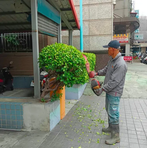 菖曜園藝矮灌木修剪實例