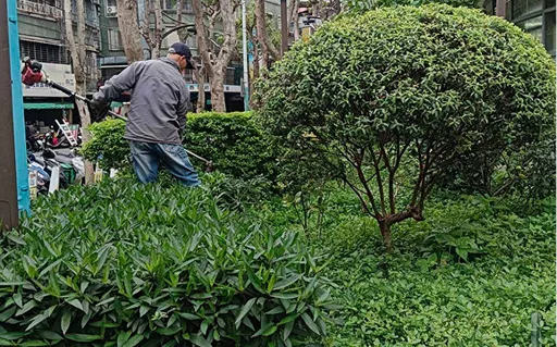菖曜園藝室內景觀維護服務